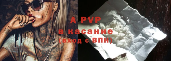 дживик Осташков